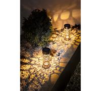 Borne solaire ajourée en inox