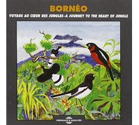Borneo-a Journey to The Heart of Jungle