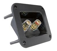 Dynavox Bornier de connexion 204610 G – 2 bornes dorées, isolation transparente, jusqu'à 6 mm²