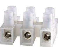 Bornier domino Adels-Contact 500/535 DS 123305 flexible: -2.5 mm² rigide: -2.5 mm² Nombre de pôles (num): 5 naturel