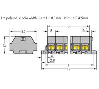 Bornier WAGO 260-205 8 mm ressort de traction Affectation: L gris 50 pc(s)