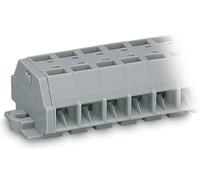 Bornier WAGO 260-206 8 mm ressort de traction Affectation: L gris 50 pc(s)