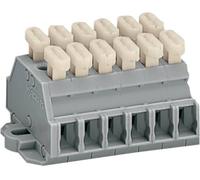 Bornier WAGO 261-426/341-000 6 mm ressort de traction Affectation: L gris 50 pc(s)