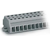 Bornier WAGO 261-428 6 mm ressort de traction Affectation: L gris 50 pc(s)