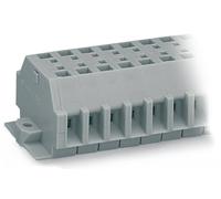 Bornier WAGO 262-160 7 mm ressort de traction Affectation: L gris 25 pc(s)