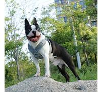 Bororo Harnais pour chien anti-étranglement Active X Step-In en matériau Oxford réfléchissant 3M, harnais réglable pour chiens de petite et moyenne taille (M, gris)