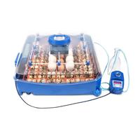 Borotto Lumia 56 Expert incubateur d’œufs couveuse 56/224 pro