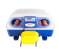 Borotto Real 24 - Incubateur Oeuf Automatique Professionnel Breveté avec Dispositif Automatique pour Retourner Les œufs - pour 24 œufs ou 96 œufs Petits