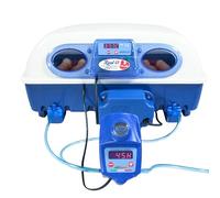 Borotto Real 49 Plus Expert | Couveuse Oeuf Automatique Professionnel 49 Oeufs ou 146 Petits avec Retourneur Automatique, Système Antibactérien et Humidificateur Automatique Sirio | Made in Italy