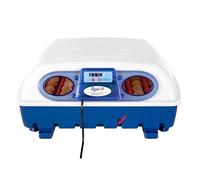 Borotto REAL 49 Semi-automatique - Incubateur professionnel breveté avec dispositif pour retourner les oeufs à levier - pour 49 oeufs ou 196 oeufs petits