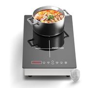 Borrallio Forno elettromagnetico a doppia testa