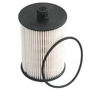 Borsehung B12199 Filtre à carburant