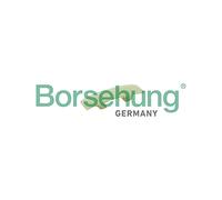 Borsehung B1G012 - Coulisse, chaîne de distribution