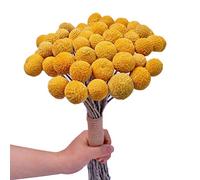 Bortivier Bouquet de Bouquet de Boule Jaune de Fleur SéChéE, VéRitable Bouquet de Plantes SéChéEs FraîChement RéColtéEs, DéCoration pour L'Artisanat de