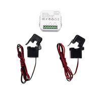 Bortivier Tuya ZigBee Smart Switch Tuya ZigBee Meter Power Monitor APP Real-Time Power Statistics Consumption Querying 2CT