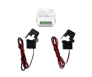 Bortivier Tuya ZigBee Smart Switch Tuya ZigBee Meter Power Monitor APP Real-Time Power Statistics Consumption Querying 2CT