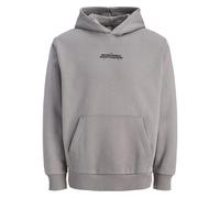Borussia Dortmund BVB Essentials Hoodie, Grau, GR. L, Bio-Baumwolle und Recycling-Polyester, Kollektion Sweat-Shirt à Capuche, Gris, L Mixte