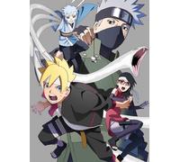 Boruto-- Naruto Next Generations Dvd-Box 3 ()