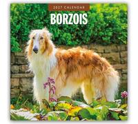 Borzois - Barsoi - Barzaia - Russischer Wolfshund 2027 - 16-Monatskalender: Original Red Robin Publishing Ltd-Kalender [Mehrsprachig] [Kalender]