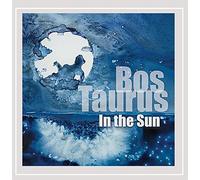 Bos Taurus - in The Sun
