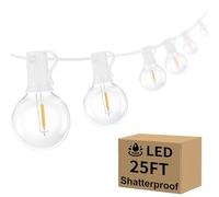 Bosceos Guirlande lumineuse d'extérieur à DEL G40 de 7,6 m à intensité variable, incassable, étanche, avec 12 + 2 ampoules connectables, pour terrasse, balcon, jardin, fête (fil blanc)