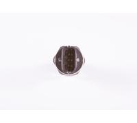 BOSCH 0 281 006 326 Capteur pression de carburant Côté haute pression