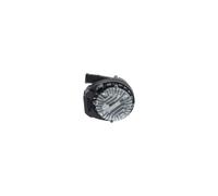 BOSCH 0 392 024 50N Pompe à eau additionnelle