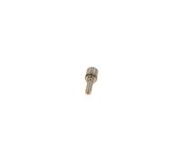 BOSCH 0 433 172 057 Buse / Gicleur / Injecteur