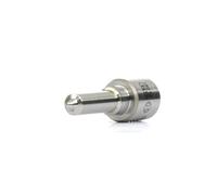 BOSCH 0 433 175 313 Buse / Gicleur / Injecteur