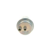 BOSCH 0 438 170 029 Accumulateur de pression, pression de carburant