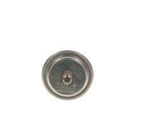 Bosch 0438170055 Fuel Accumulateur