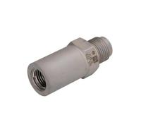 BOSCH 1 110 010 033 Soupape de surpression système à rampe commune