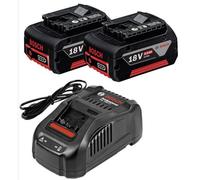 Bosch Starter-Set Batterie