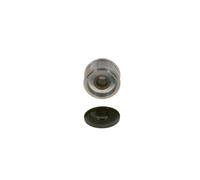 BOSCH 1 986 AE4 573 Poulie roue libre, alternateur