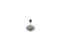 BOSCH 1 987 302 441 Ampoule, Phare Pour DAF, GAZ, IRISBUS, IVECO, KAMAZ, MAN