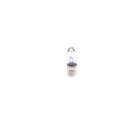 Ampoule secondaire BOSCH H21W Trucklight 24V, 21W, 1 pièce