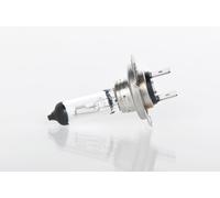 Ampoule halogène BOSCH H7 Trucklight Maxlife 24V, 70W, 1 pièce