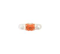 Bosch 1 987 531 018 Cartouche Petit Modele