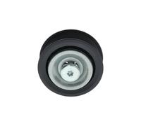 BOSCH 1 987 600 026 Galet enrouleur de courroie d'accessoire