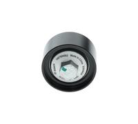 BOSCH 1 987 600 063 Galet enrouleur de courroie d'accessoire
