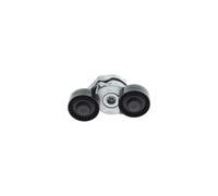 BOSCH 1 987 600 348 Poulie, tendeur de courroie d'accessoire