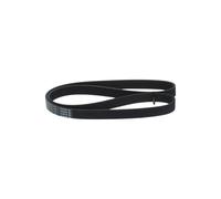 BOSCH 1 987 945 146 Courroie Poly-V