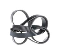Bosch 1 987 946 005 Courroie poly
