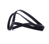 BOSCH 1 987 946 019 Courroie Poly-V