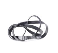 BOSCH 1 987 946 031 Courroie Poly-V