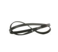 BOSCH 1 987 946 081 Courroie Poly-V