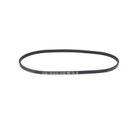 BOSCH 1 987 946 160 Courroie Poly-V