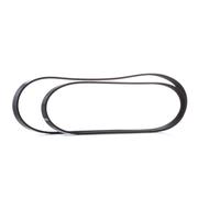 BOSCH 1 987 946 196 Jeu de courroies trapézoïdales à nervures