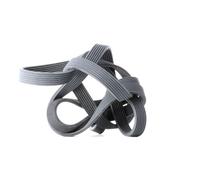 BOSCH 1 987 946 212 Courroie Poly-V