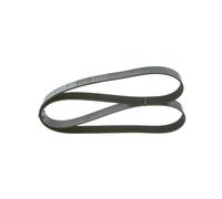 BOSCH 1 987 946 231 Courroie Poly-V